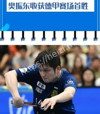 樊振东德甲首胜